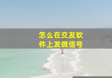 怎么在交友软件上发微信号