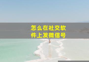 怎么在社交软件上发微信号