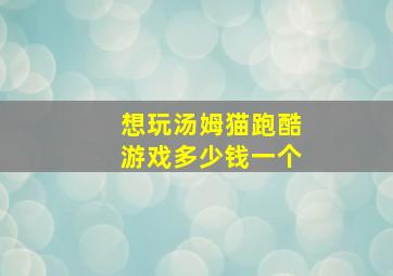 想玩汤姆猫跑酷游戏多少钱一个