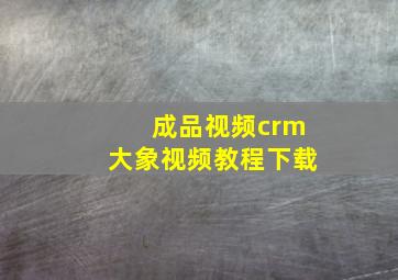 成品视频crm大象视频教程下载