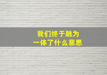 我们终于融为一体了什么意思