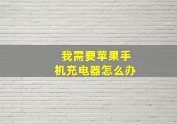 我需要苹果手机充电器怎么办