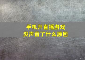 手机开直播游戏没声音了什么原因