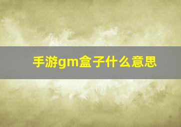 手游gm盒子什么意思