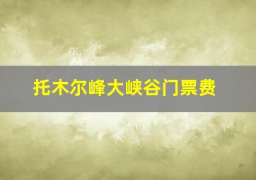 托木尔峰大峡谷门票费