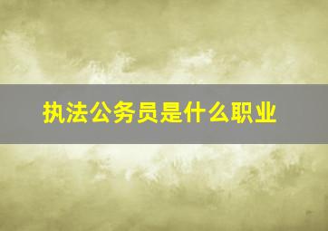 执法公务员是什么职业