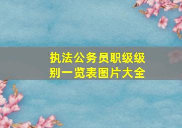 执法公务员职级级别一览表图片大全