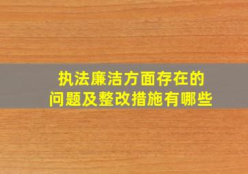 执法廉洁方面存在的问题及整改措施有哪些