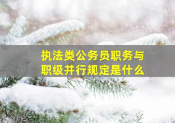 执法类公务员职务与职级并行规定是什么