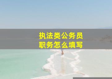 执法类公务员职务怎么填写