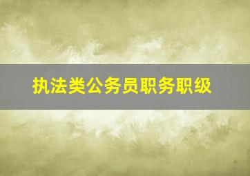 执法类公务员职务职级