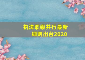 执法职级并行最新细则出台2020