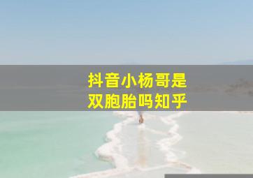 抖音小杨哥是双胞胎吗知乎