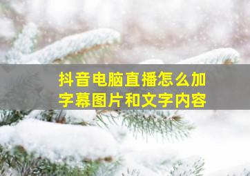 抖音电脑直播怎么加字幕图片和文字内容