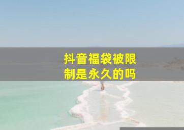 抖音福袋被限制是永久的吗