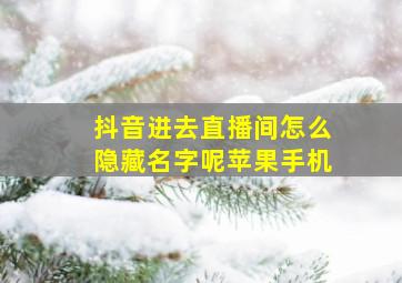 抖音进去直播间怎么隐藏名字呢苹果手机