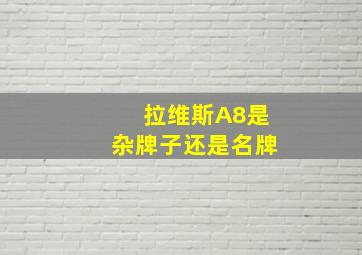 拉维斯A8是杂牌子还是名牌