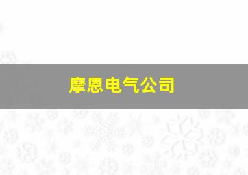 摩恩电气公司