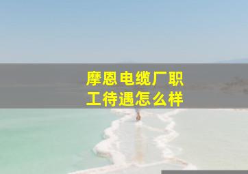 摩恩电缆厂职工待遇怎么样