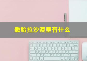 撒哈拉沙漠里有什么