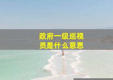 政府一级巡视员是什么意思