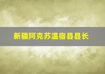 新疆阿克苏温宿县县长