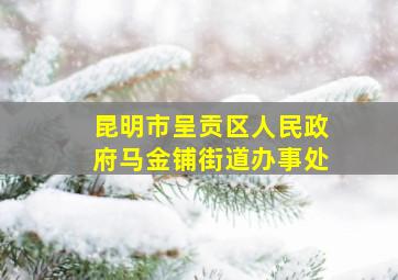 昆明市呈贡区人民政府马金铺街道办事处