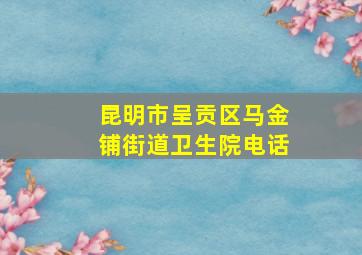 昆明市呈贡区马金铺街道卫生院电话