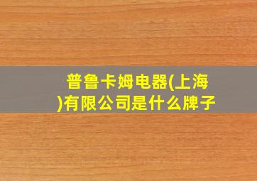 普鲁卡姆电器(上海)有限公司是什么牌子