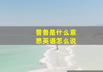 普鲁是什么意思英语怎么说