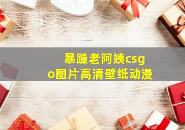 暴躁老阿姨csgo图片高清壁纸动漫