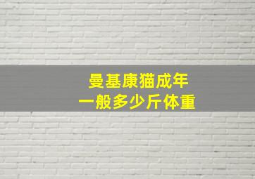 曼基康猫成年一般多少斤体重