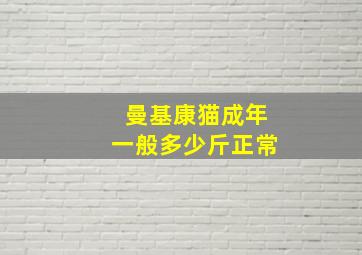 曼基康猫成年一般多少斤正常