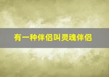 有一种伴侣叫灵魂伴侣