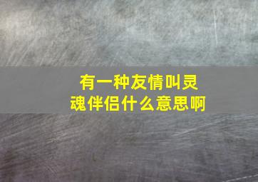 有一种友情叫灵魂伴侣什么意思啊