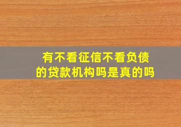 有不看征信不看负债的贷款机构吗是真的吗