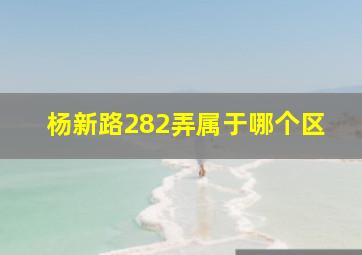 杨新路282弄属于哪个区