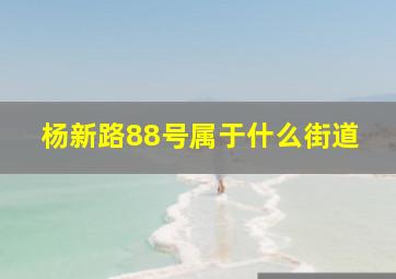 杨新路88号属于什么街道