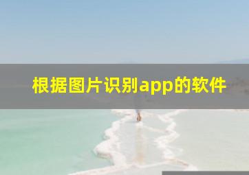 根据图片识别app的软件