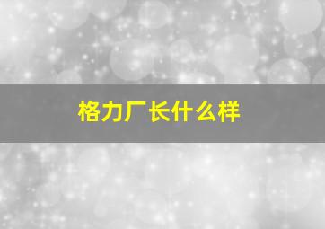 格力厂长什么样