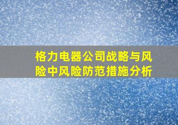 格力电器公司战略与风险中风险防范措施分析