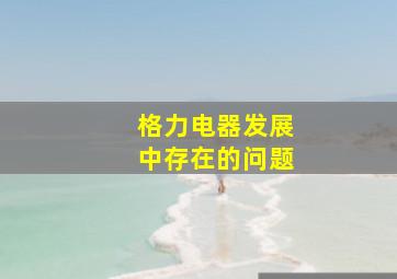 格力电器发展中存在的问题