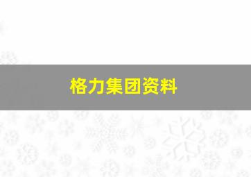 格力集团资料