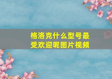 格洛克什么型号最受欢迎呢图片视频