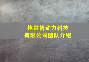 格雷博动力科技有限公司团队介绍