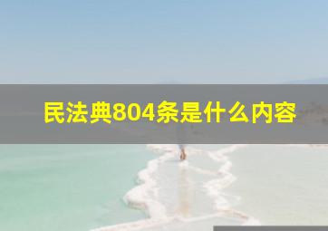 民法典804条是什么内容