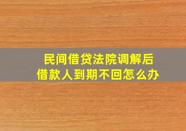 民间借贷法院调解后借款人到期不回怎么办