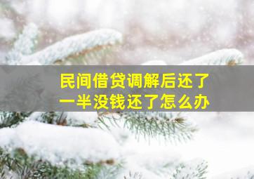 民间借贷调解后还了一半没钱还了怎么办