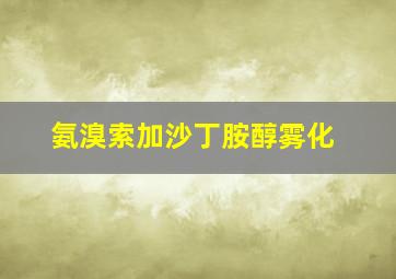 氨溴索加沙丁胺醇雾化