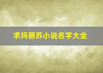 求玛丽苏小说名字大全